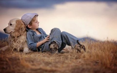 小明想写一部小说